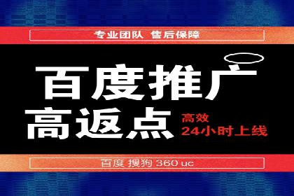 SEM推广策略：成功案例解析与效果评估